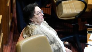 VIDEO - Suicidio y esquizofrenia: la nueva polémica de María Luisa Cordero en la Cámara