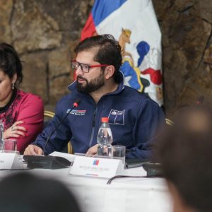 Boric Venezuela
