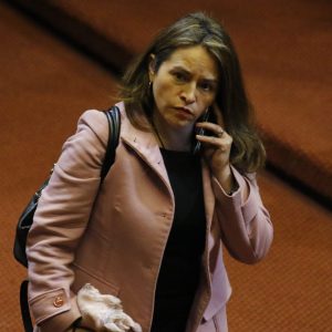 Diputada Joanna Pérez