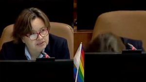 VIDEO - El momento exacto en que la diputada Marcela Riquelme se desmayó en plena sesión de la Cámara
