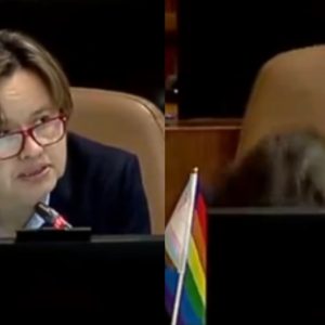 diputada marcela riquelme se desmayó en el congreso