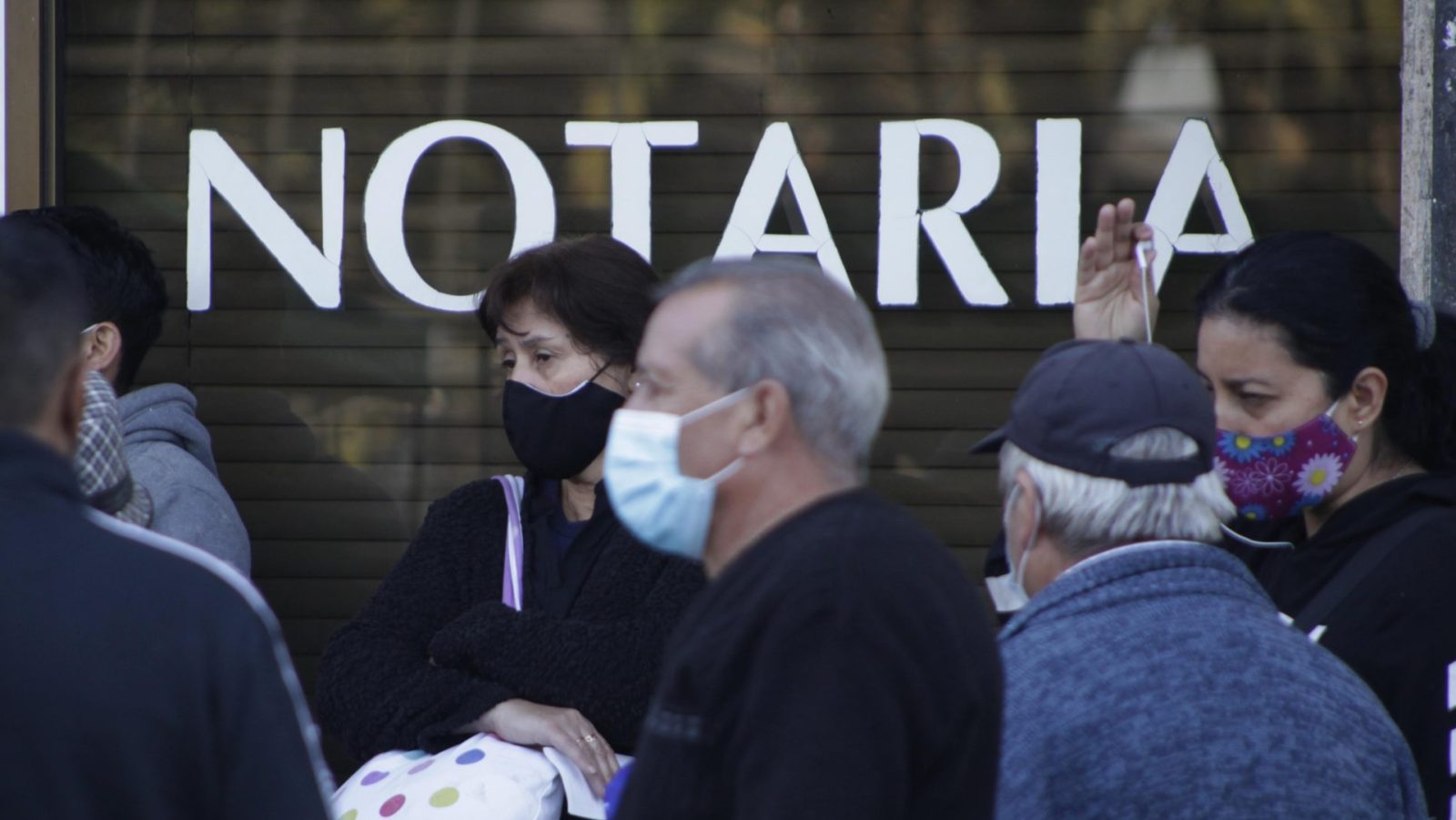notaria notarios