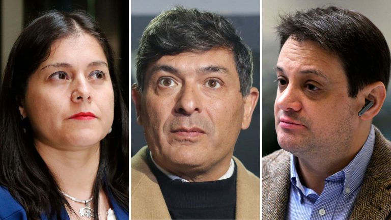 La debacle del PDG: colectividad mantiene sólo una diputada tras expulsión de Gaspar Rivas