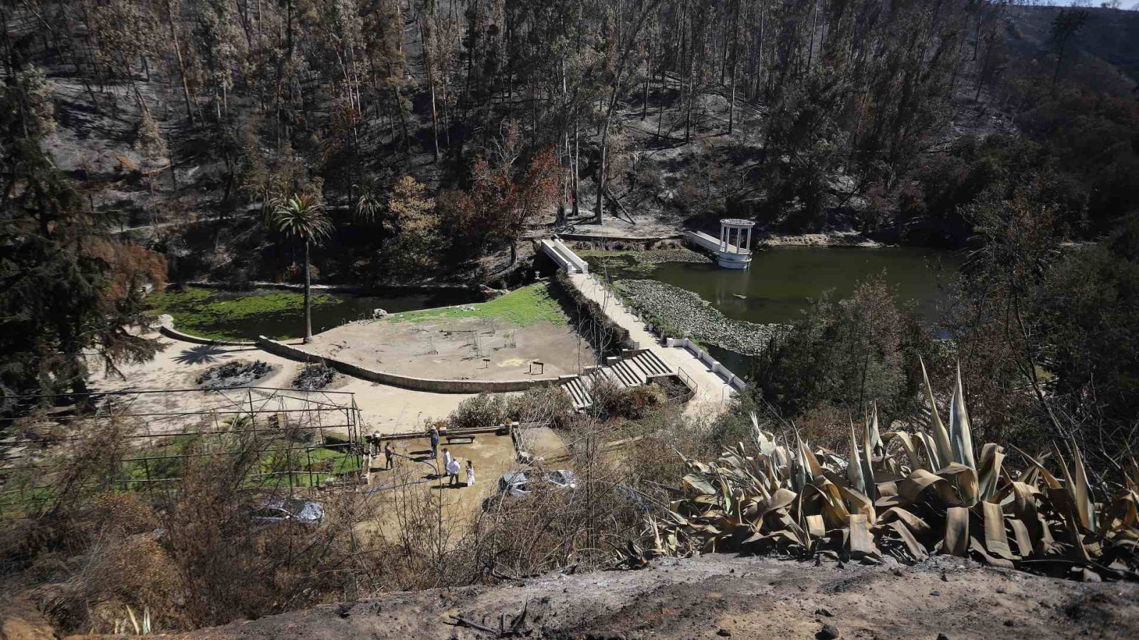 Jardín Botánico