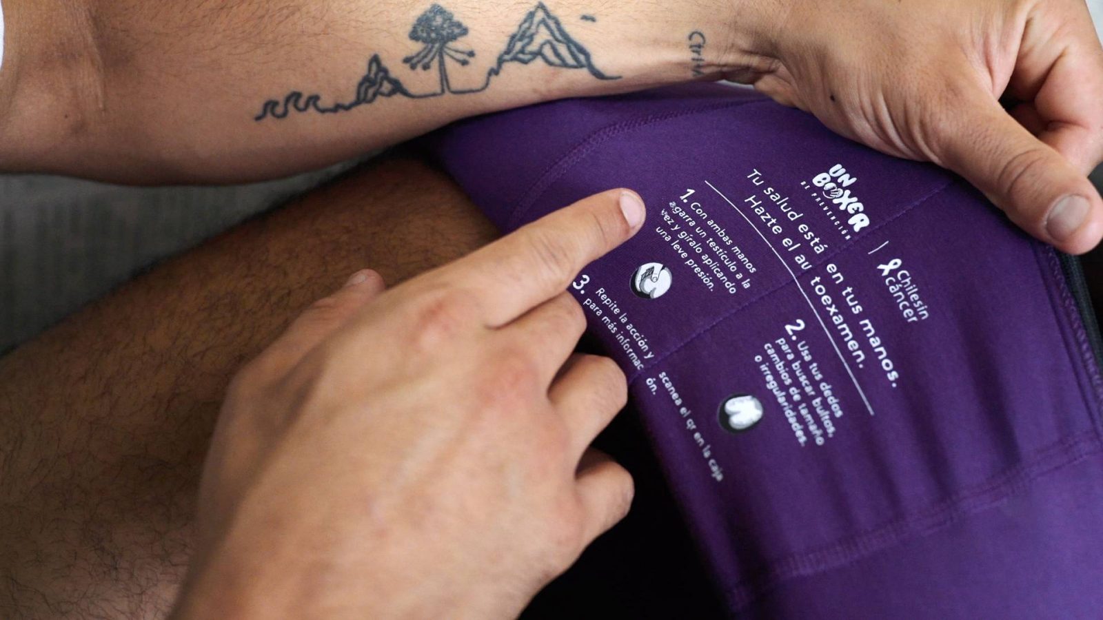 BOXER autoexamen