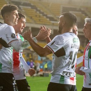 Palestino