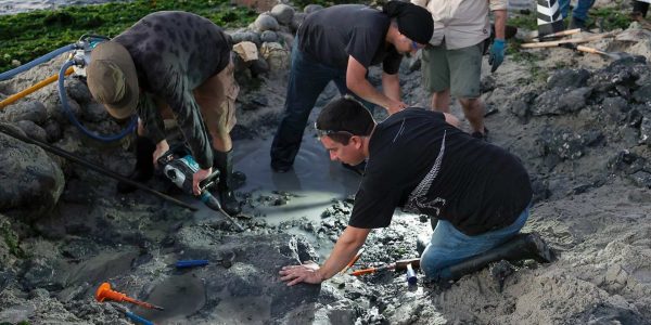 Dinosaurio en Algarrobo