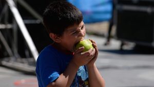 Mapa nutricional de Junaeb: Magallanes y Aysén concentran la mayor cantidad de estudiantes con obesidad
