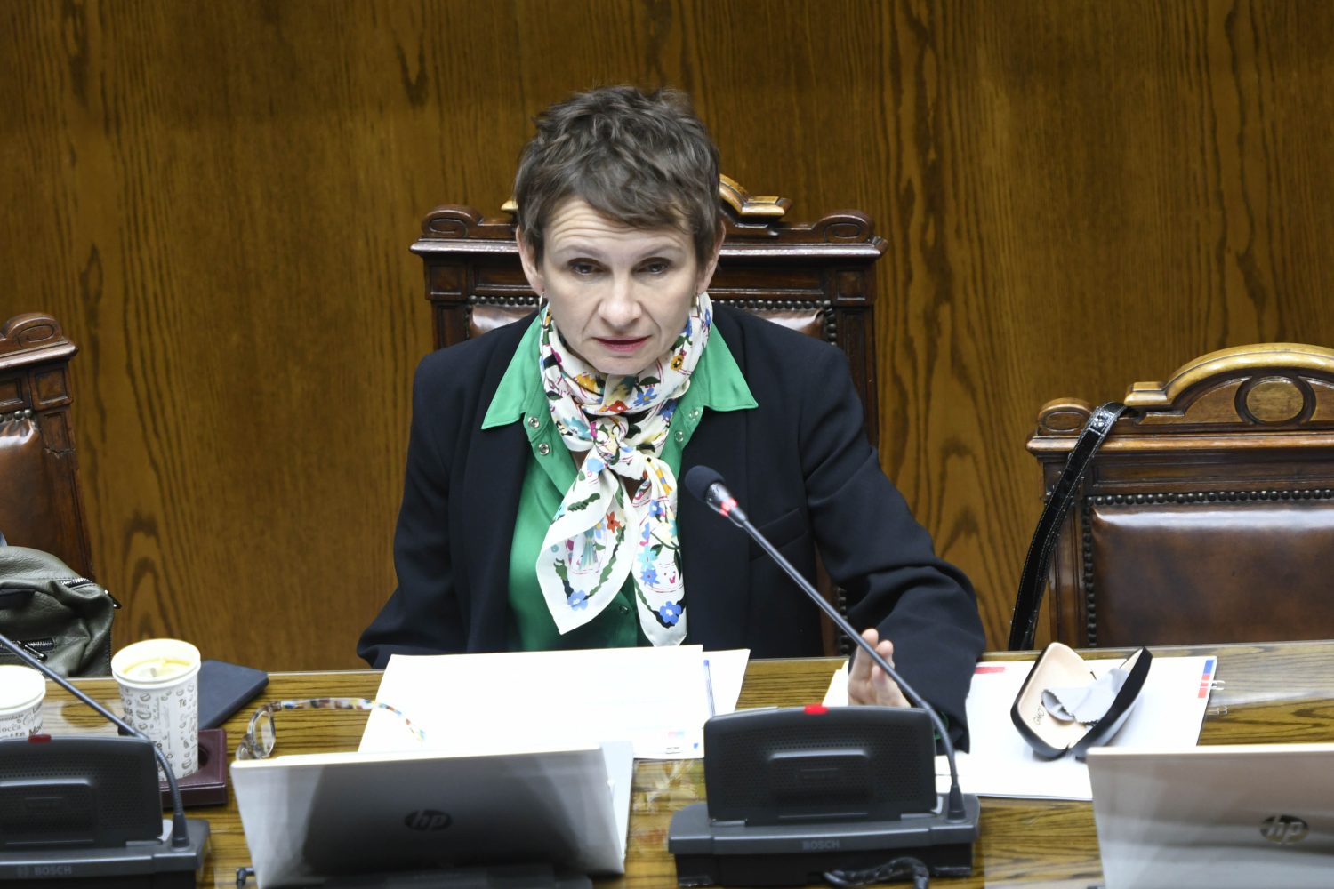 Carolina Tohá Hezbollah