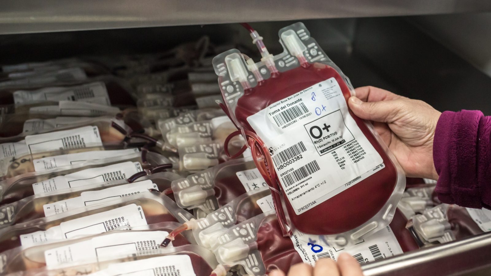 sangre contaminada reino unido