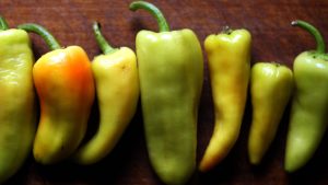 Estas son las recetas de las mejores comidas chilenas según Taste Atlas