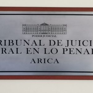 oficial Ejército conscripta