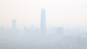 Salud humana y salud planetaria: una única salud