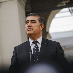 Chats de Mario Desbordes