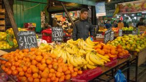 Bolsillo Familiar Electrónico Extendido: cuál es la fecha de pago y el monto