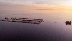 SalmonChile pide moratoria de nuevas solicitudes como de tramitación de nuevos espacios costeros marinos para pueblos originarios