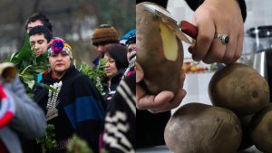 We Tripantu: revisa los rituales y actividades para celebrar la Noche de San Juan