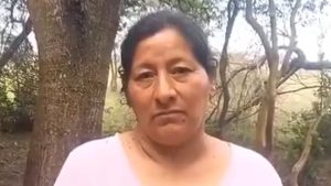 Vuelco en caso Loan Peña: tía asegura que niño fue atropellado y enterrado en un monte
