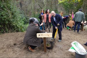 Jardín Botánico presentó la colección completa de los árboles monumentos naturales de Chile, tras el aporte de especies de CMPC