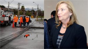 Vivianne Blanlot y cableado aéreo como origen del masivo corte de luz: 