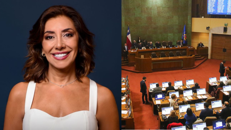 VIDEO - La polémica denuncia contra Carmen Gloria Arroyo en TVN que escaló hasta el Congreso