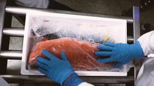 SalmonChile valora aprobación de informe de comisión investigadora de robo de salmones