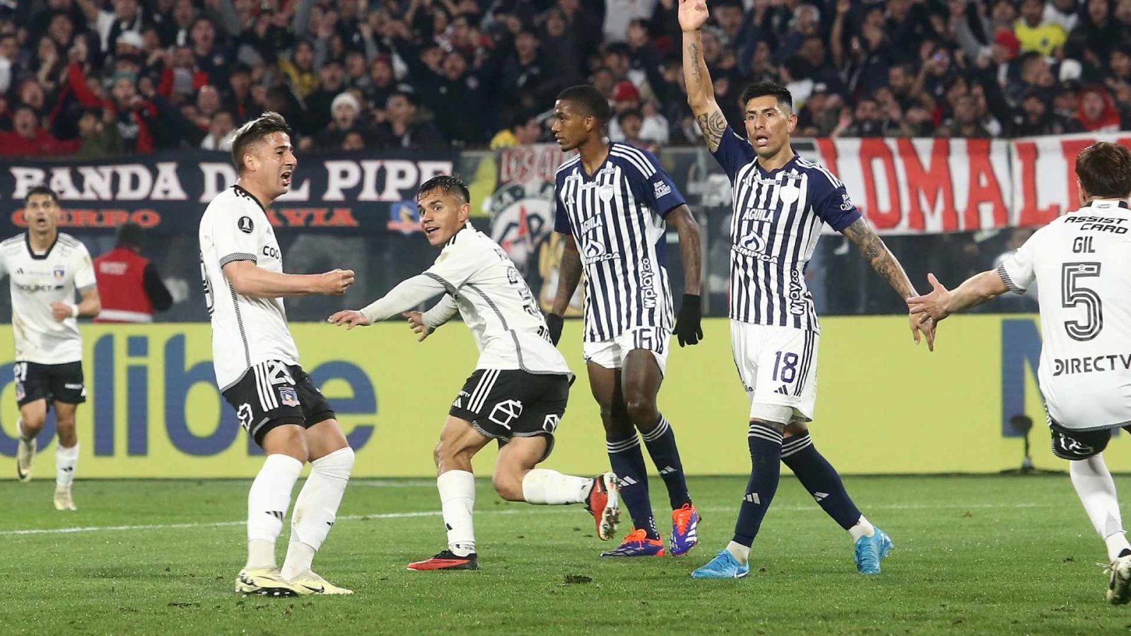 Colo Colo Copa Libertadores