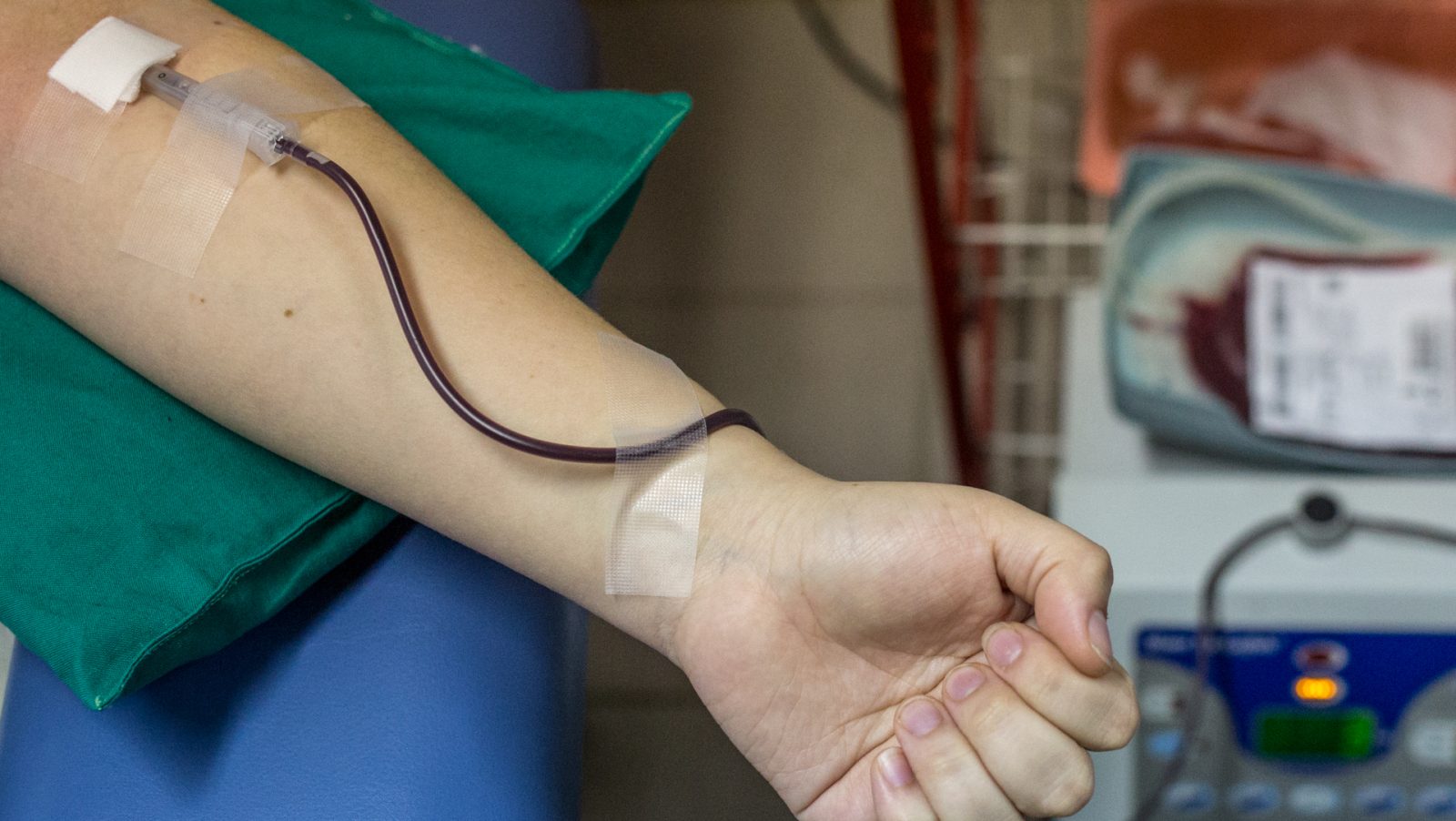 sangre donante donación