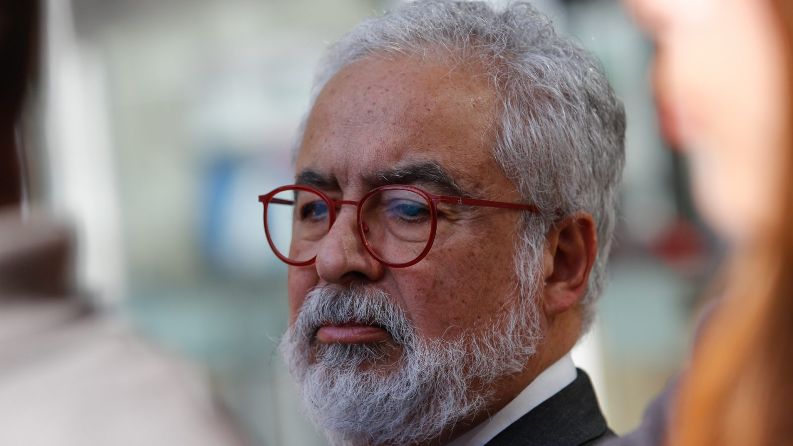 Medidas cautelares Luis Hermosilla Leonarda Villalobos