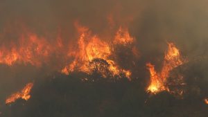 Bombero y funcionario de Senapred: quién es el nuevo detenido por megaincendios en Viña y Quilpué