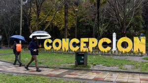 Alcaldes: estos son todos los candidatos por la región del Biobío