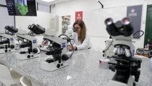Investigadores chilenos integran ranking de académicos más citados del mundo