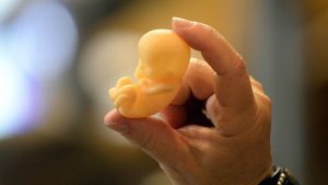 ¿A cuánto el óvulo? El cuerpo como mercancía