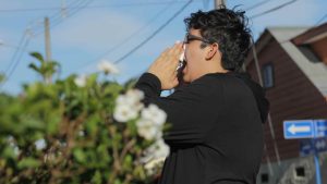 ¿Por qué Talca es la ciudad con más alergias en Chile?