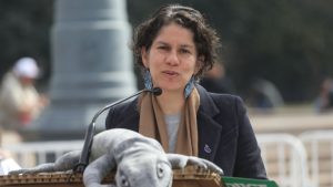 Ministra Maisa Rojas defiende rechazo a Dominga:
