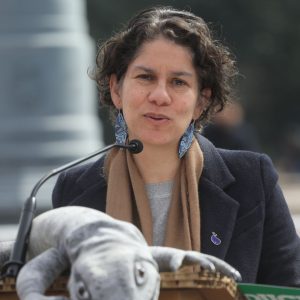 Maisa Rojas Dominga