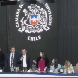 Dominga Comisión