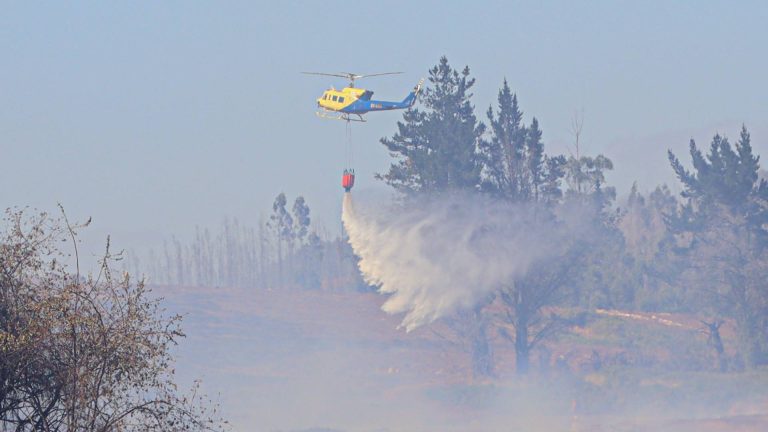 Las 12 comunas de la Región de La Araucanía que continuarán con toque de queda por incendios