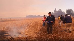 VIDEOS - Ministro de Agricultura tras críticas por registro que lo mostró apagando una fogata: 