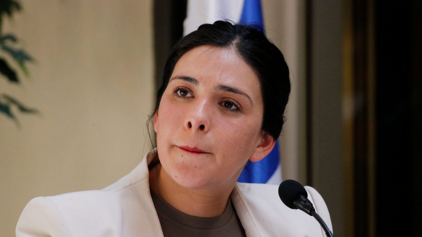 Karol Cariola vinculo con otro empresario chino