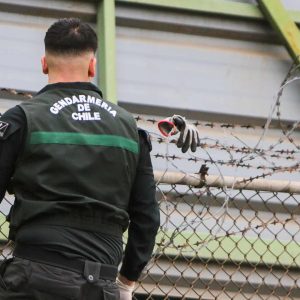 Gendarmería inhibidores