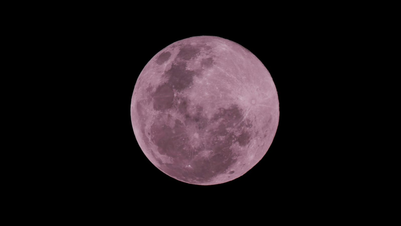luna rosa chile