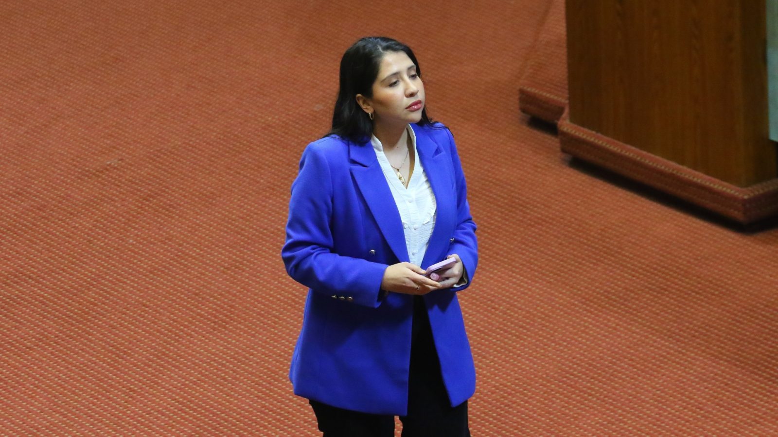 Diputada Consuelo Veloso