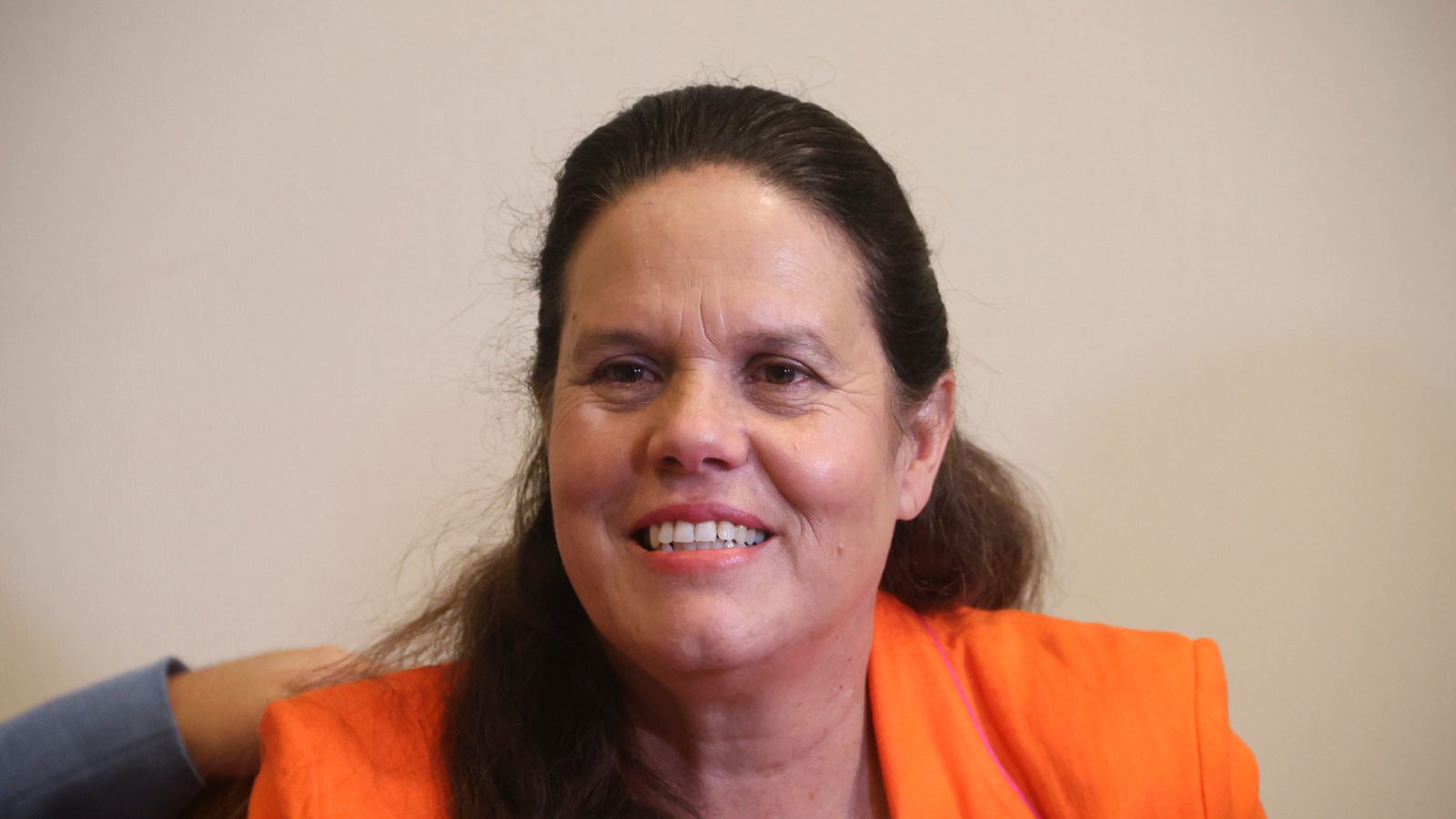 Maya Fernández Acusación Constitucional AC