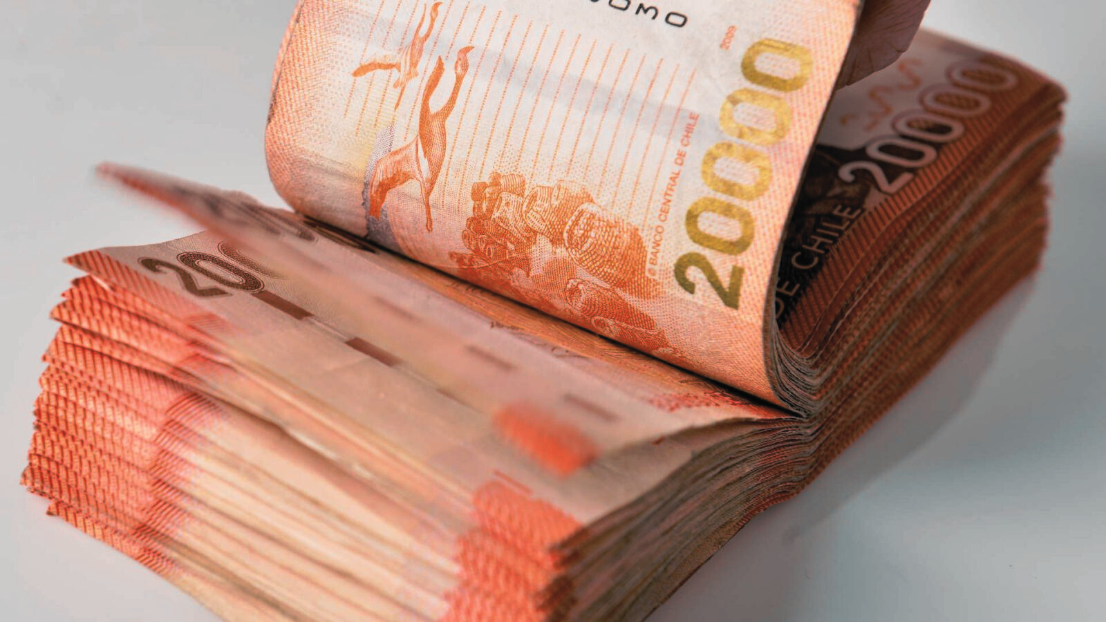 Revisa los cuatro beneficios económicos que puedes pedir estando cesante