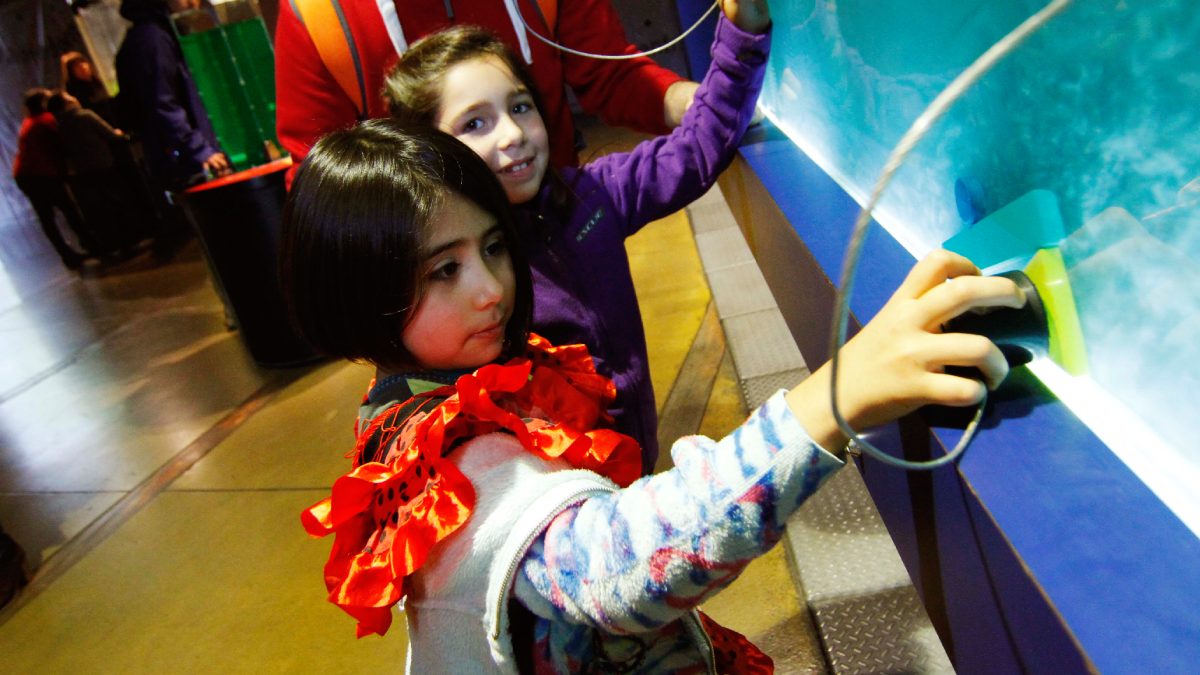 Cinco actividades para niños en el Día de los Patrimonios 2025