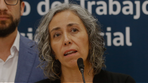 Quién es Pamela Gana, la superintendenta de Seguridad Social apuntada como responsable política del Caso Licencias Médicas