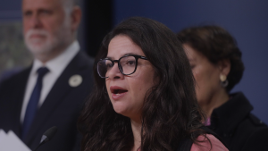 Cuánto costaría la implementación del aborto legal y la disposición del Gobierno a negociar las semanas de gestación