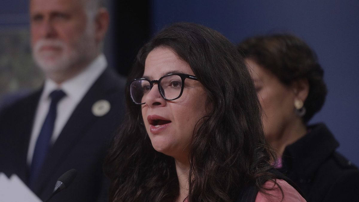 Cuánto costaría la implementación del aborto legal y la disposición del Gobierno a negociar las semanas de gestación