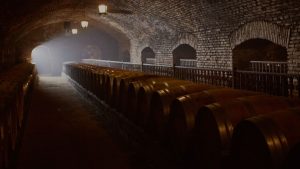 Viña Concha y Toro sube sus ventas en primer trimestre